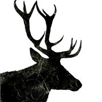 Deer Black - Smuk Leve
