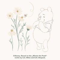 Winnie Pooh Looks at Daisies - Disney Winnie Puuh