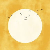 Eternal Sunshine - Kubistika