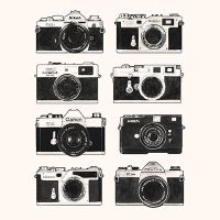 Cameras Vintage - Florent Bodart