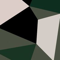 Polygon Camouflage - DeinDesign