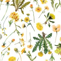 Gelbe Wildblumen - UtART