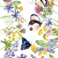 Bunte Frühlingsblumen und Schmetterlinge - UtART
