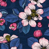 Apple Blossoms Dark Blue - Katerina Kirilova