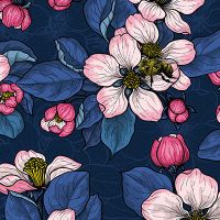 Apfelblüten Dunkel - Katerina Kirilova