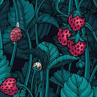 Strawberries with snail - Katerina Kirilova