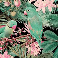 Green Parakeets 2 - Andrea Haase