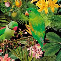 Green Parakeets - Andrea Haase