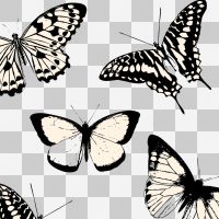 Minimalist Butterflies - Oana Soare