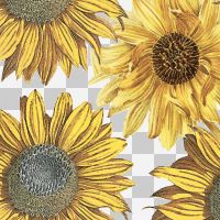 Retro Sunflowers 1 - Oana Soare
