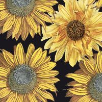 Retro Sunflowers - Oana Soare