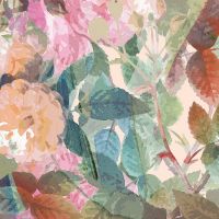 Watercolor Rose Garden - Oana Soare