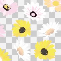 Weiße und gelbe Gänseblümchenblüten - Oana Soare
