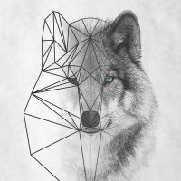 Polygonic Wolf - Reinders!