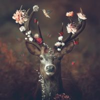 Fauna Flora Deer - Reinders!