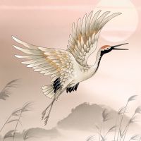 Flying Cranebirds - Reinders!