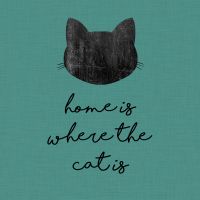 Home Is Where The Cat Is - Black on Turquoise - Orara Studio