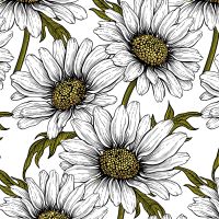 Daisy Pattern Wallpaper White - Katerina Kirilova