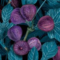 Fig Leaves Pattern Wallpaper - Katerina Kirilova