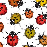 Ladybugs Pattern Wallpaper White - Katerina Kirilova