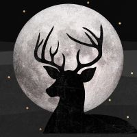 Deer & Moon Silver - Orara Studio