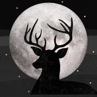 Hirsch & Mond Silber - Orara Studio