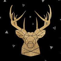 Geometric Deer & Antlers - Orara Studio