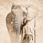 Elephant with warrior - Greenfeed