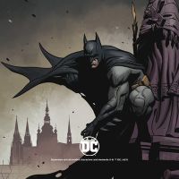 Batman Perched - DC Comics