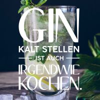 Gin Kalt - VISUAL STATEMENTS