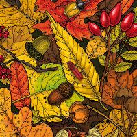 Autumn Leaves - Katerina Kirilova