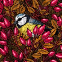 Herbst Vögel - Katerina Kirilova