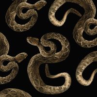 Gold Snakes - DeinDesign