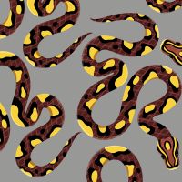 Flat Snakes - DeinDesign