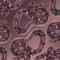 Snakes Pink - DeinDesign