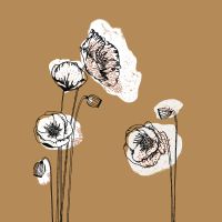 Momo_no1 - Froilein Juno
