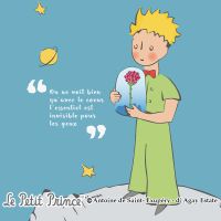 Der Kleine Prinz-Ausdrücke & Zitate - Le Petit Prince