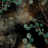 Eucalyptus Background - Andrea Haase