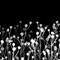 Floral Minimalism - Andrea Haase