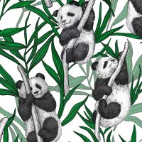 Panda Cubs - Katerina Kirilova