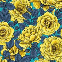 Yellow Roses Flowers - Katerina Kirilova