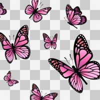 Butterflies pink - DeinDesign