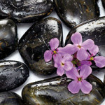 Black Stones with Flowers - DeinDesign