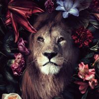 Löwe Blumenrahmen - Reinders!