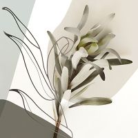 Boho Line Art Olivgrün - Reinders!