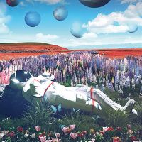 Astronaut auf Grasplaneten - Reinders!