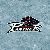 Ice surface - Augsburger Panther