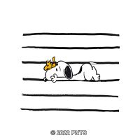 Snoopy Woodstock Stripes - Peanuts
