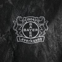 Bayer 04 Leverkusen Logo white - Bayer 04 Leverkusen