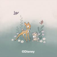 Bambi und Klopfer - Disney 